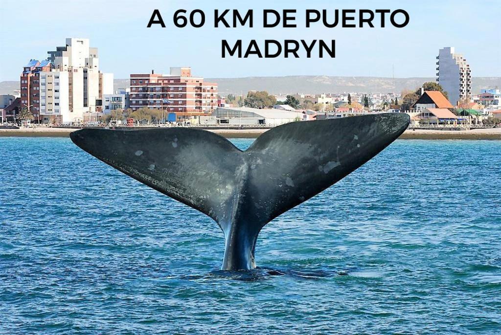 ALQUILERES MARLUZ