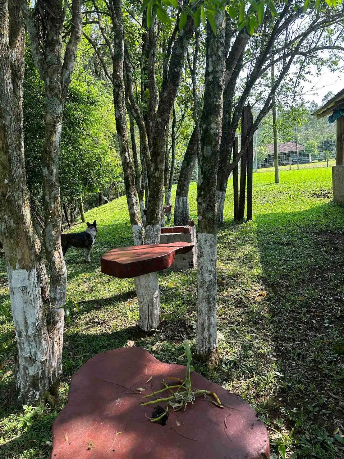 Hotel, Pousada e camping Recanto Nativo Caibi