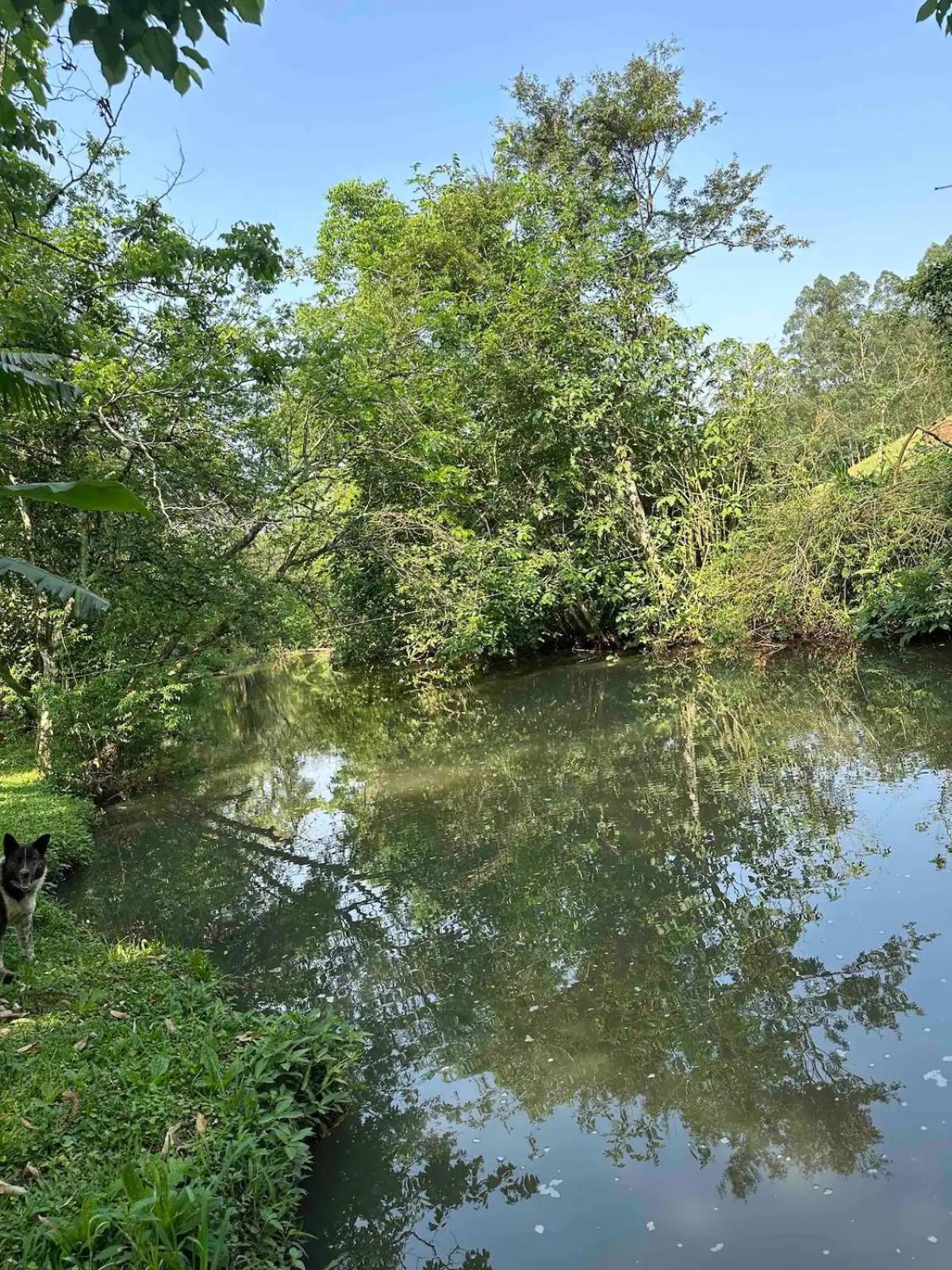Hotel, Pousada e camping Recanto Nativo Caibi