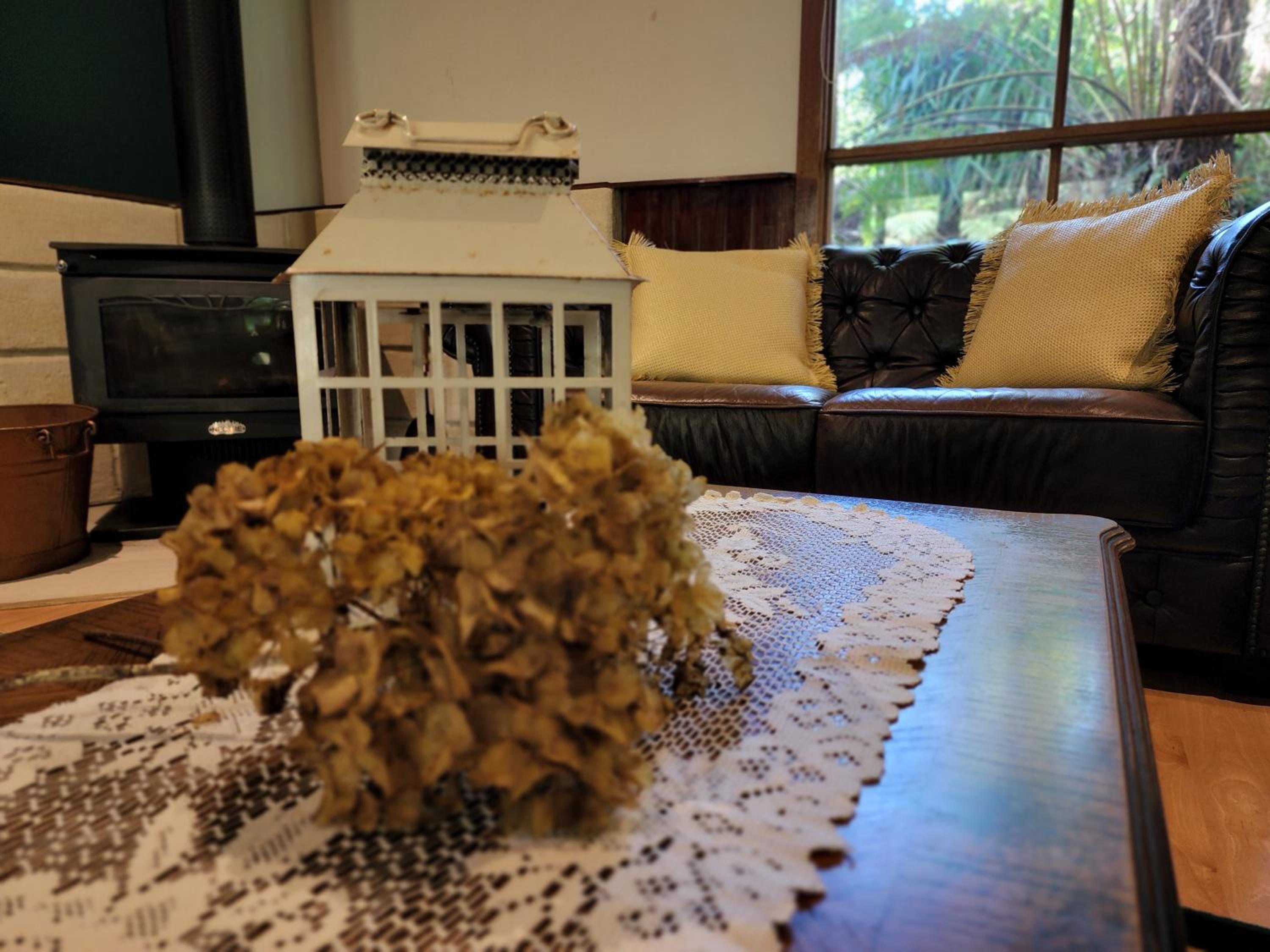 The Fernglen Forest Retreat