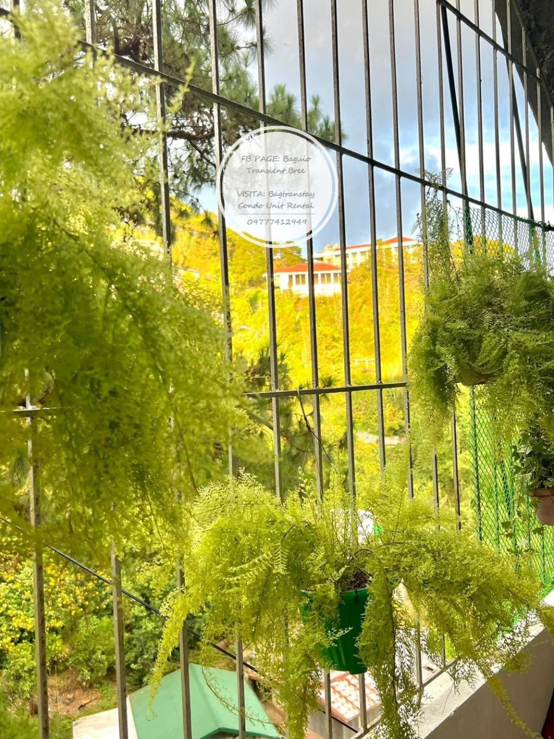 BAGUIO MINIMALIST 2 BEDROOM SOLO UNIT view 2