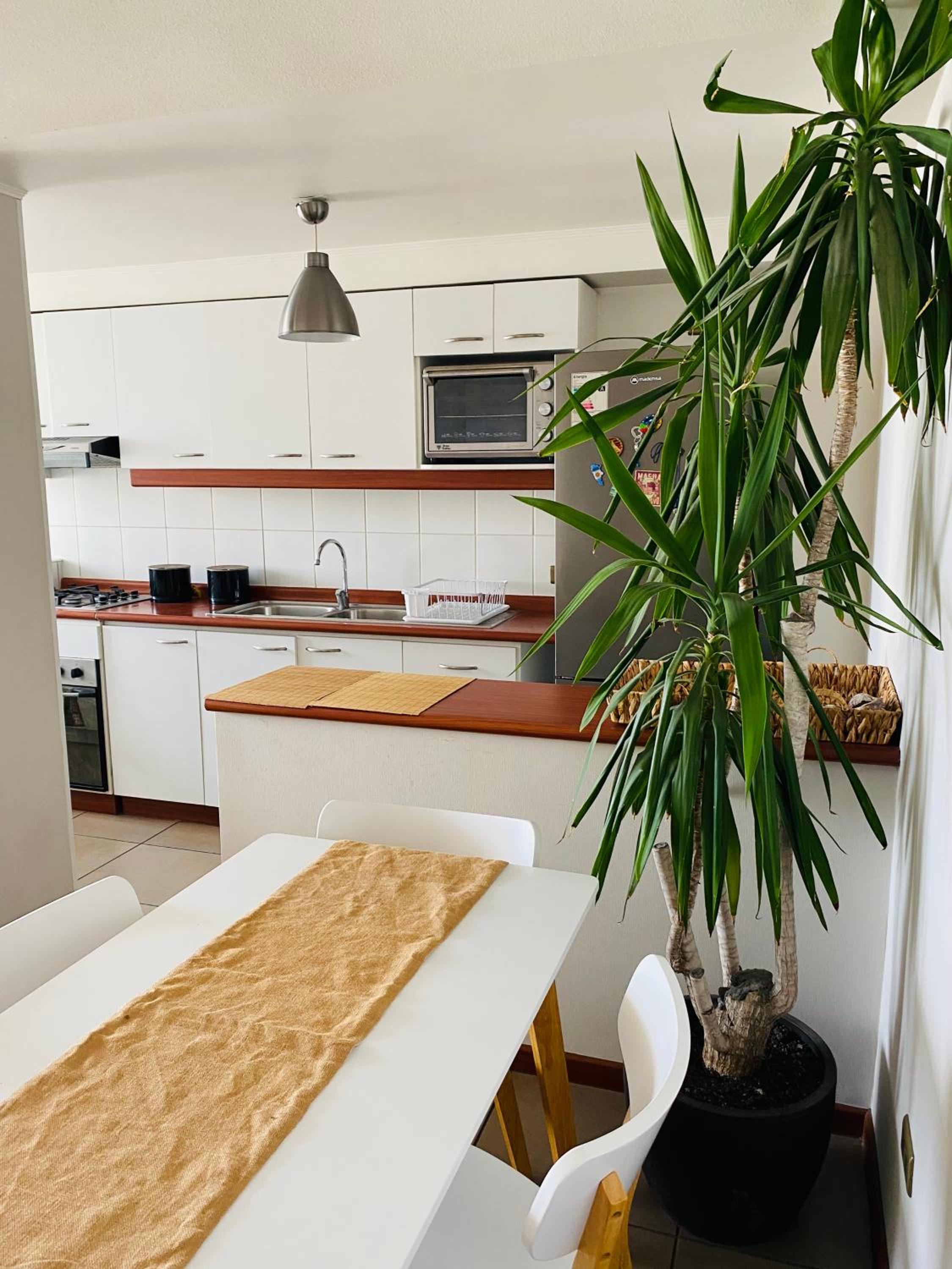 Precio departamento acogedor
