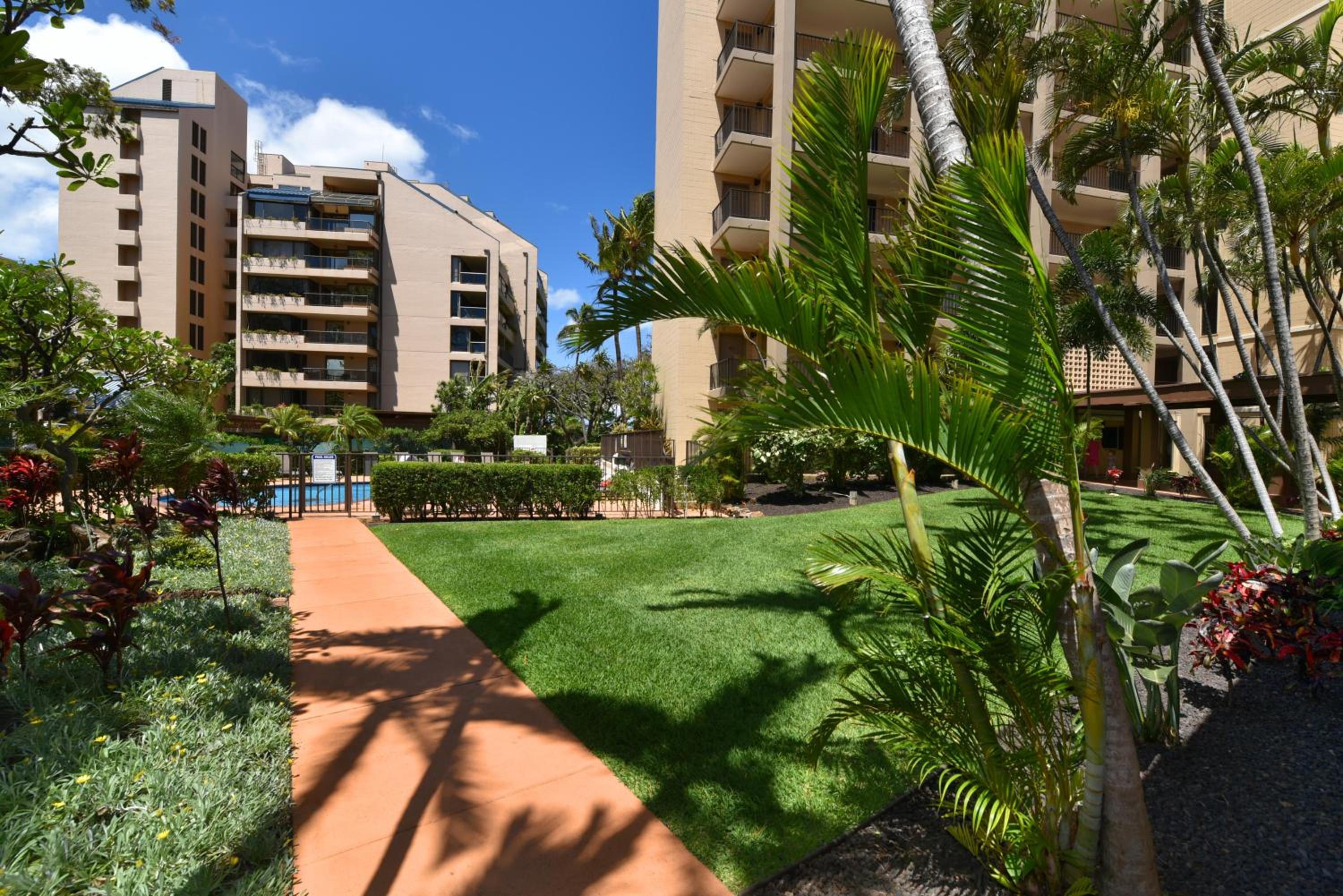 Valley Isle 204 · VI 204 Updated Coastal Chic OceanFront Ocean V