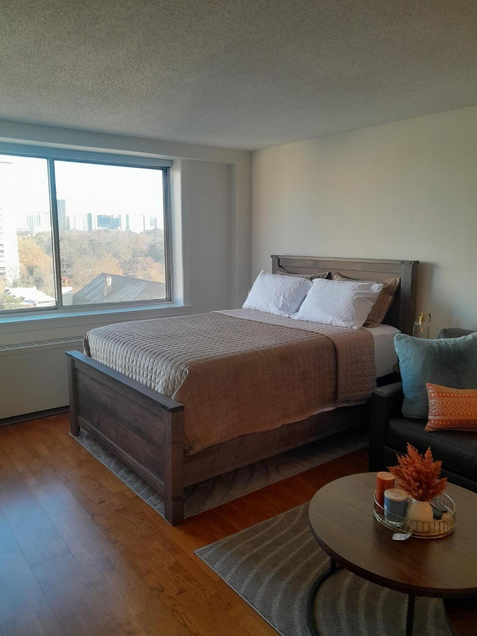 Luxury Fully Furnished Studio Condo view 2