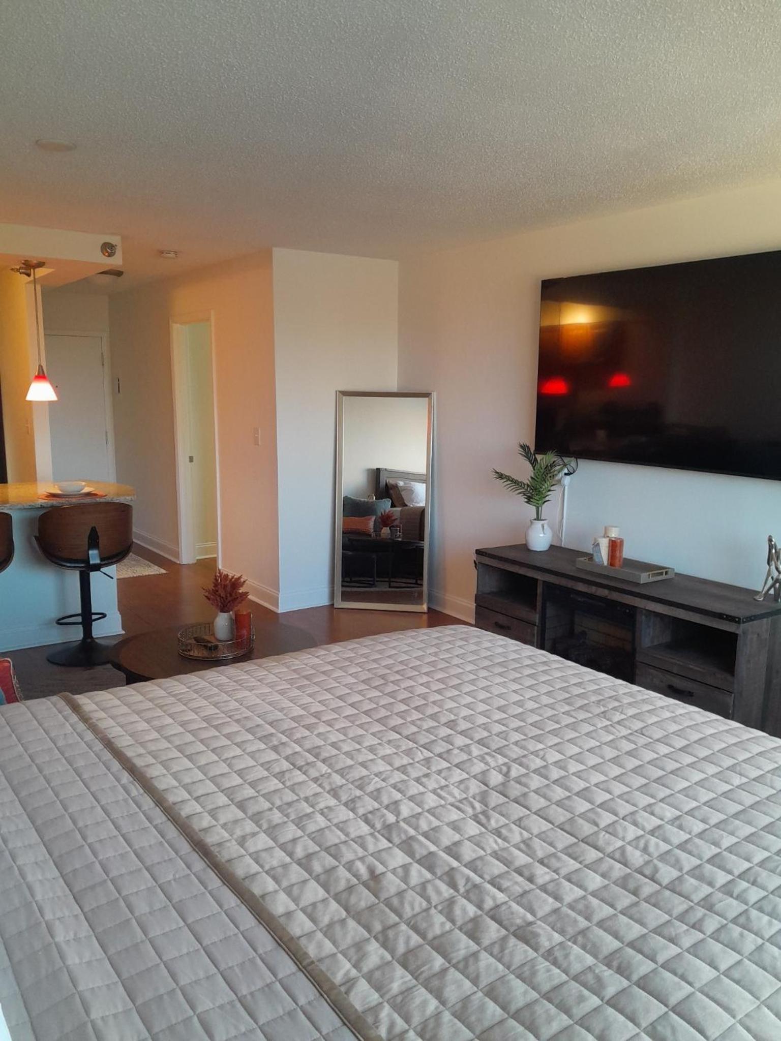 Luxury Fully Furnished Studio Condo view 5