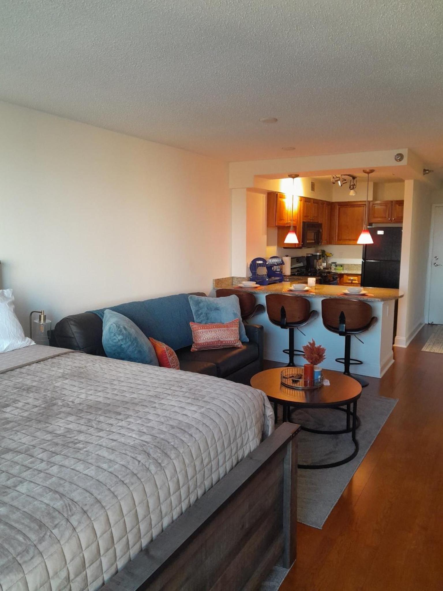 Luxury Fully Furnished Studio Condo view 4