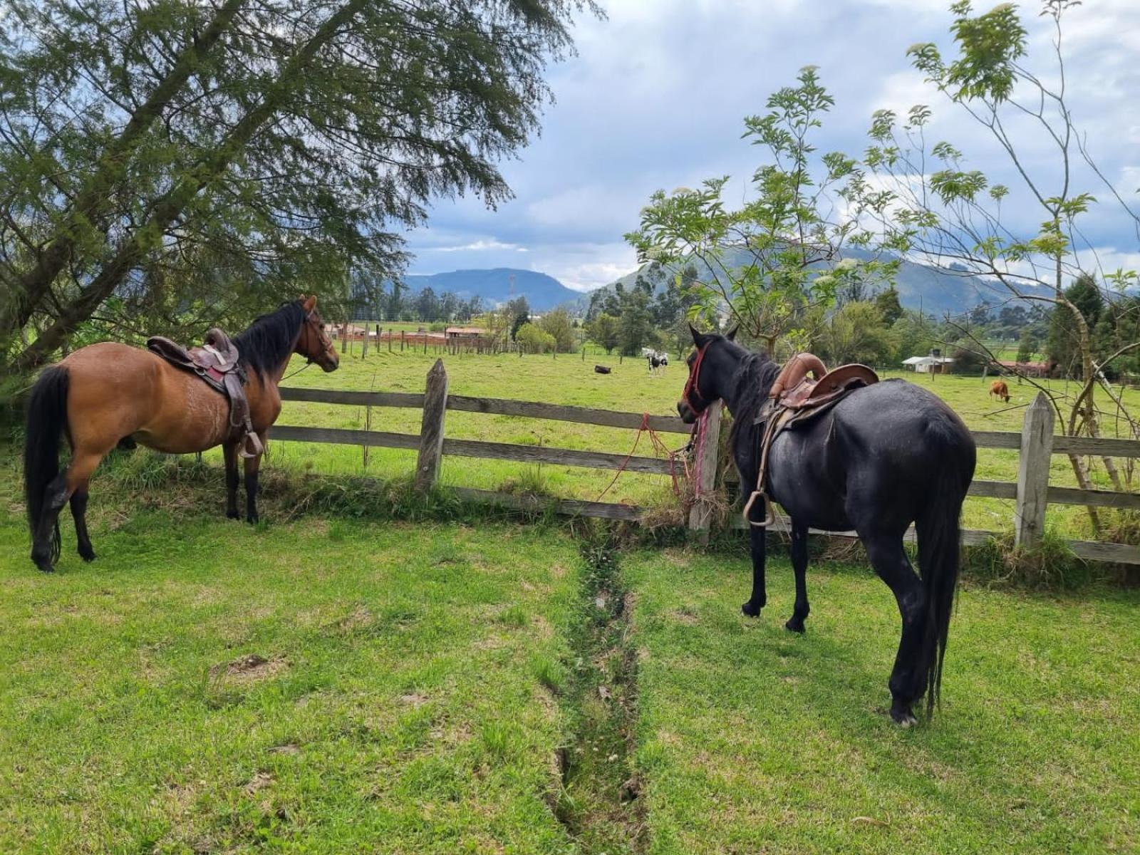 Chalet Campestre Casa Azul, 5 minutos de Tibasosa, paseos por nuestros Pueblitos