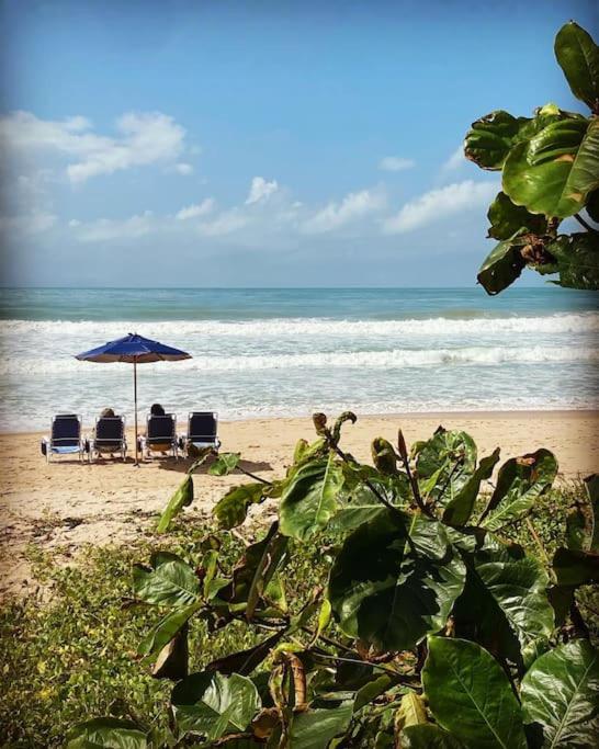 Canto Marola - Porto de Galinhas