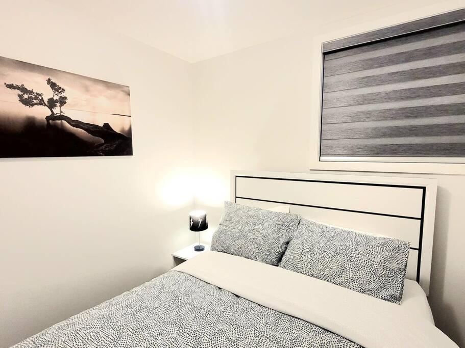 Somy Suite - Cozy 2bedrom with two queens bed and free street parking