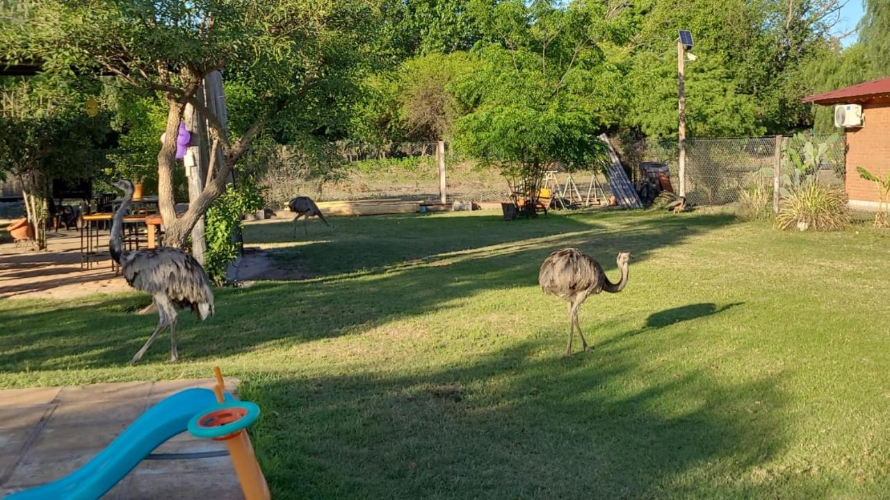 finca granja la soñadita