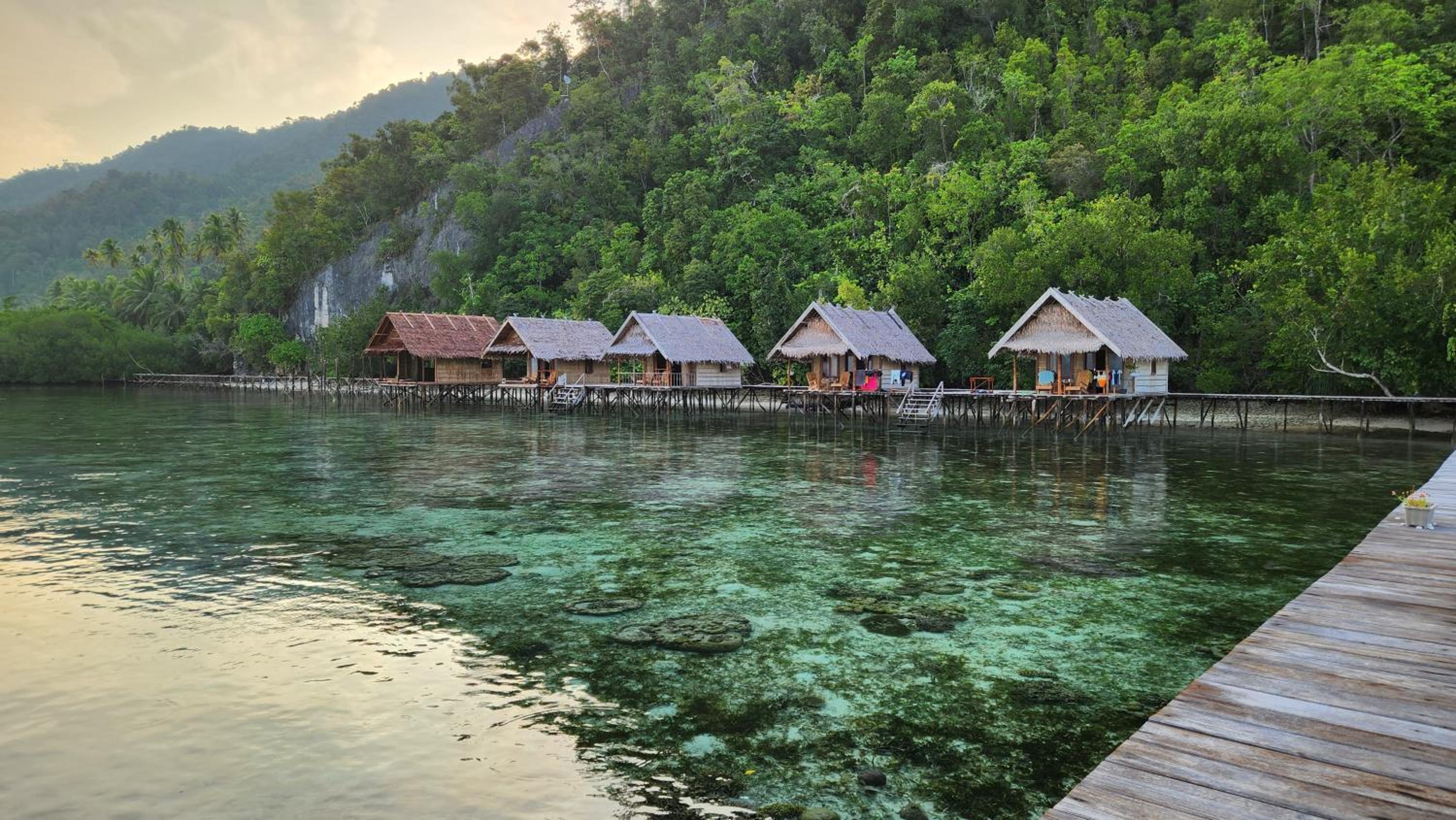 Terimakasih homestay