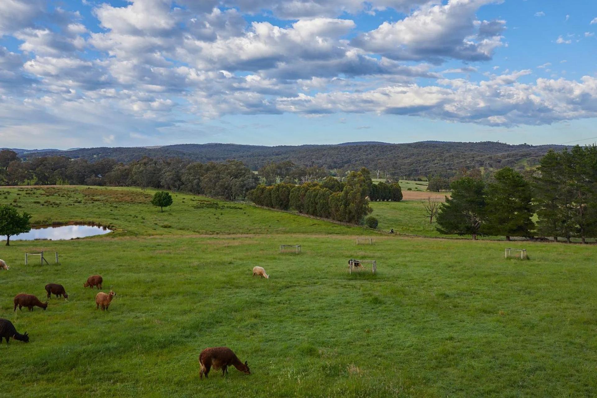 The Homestead