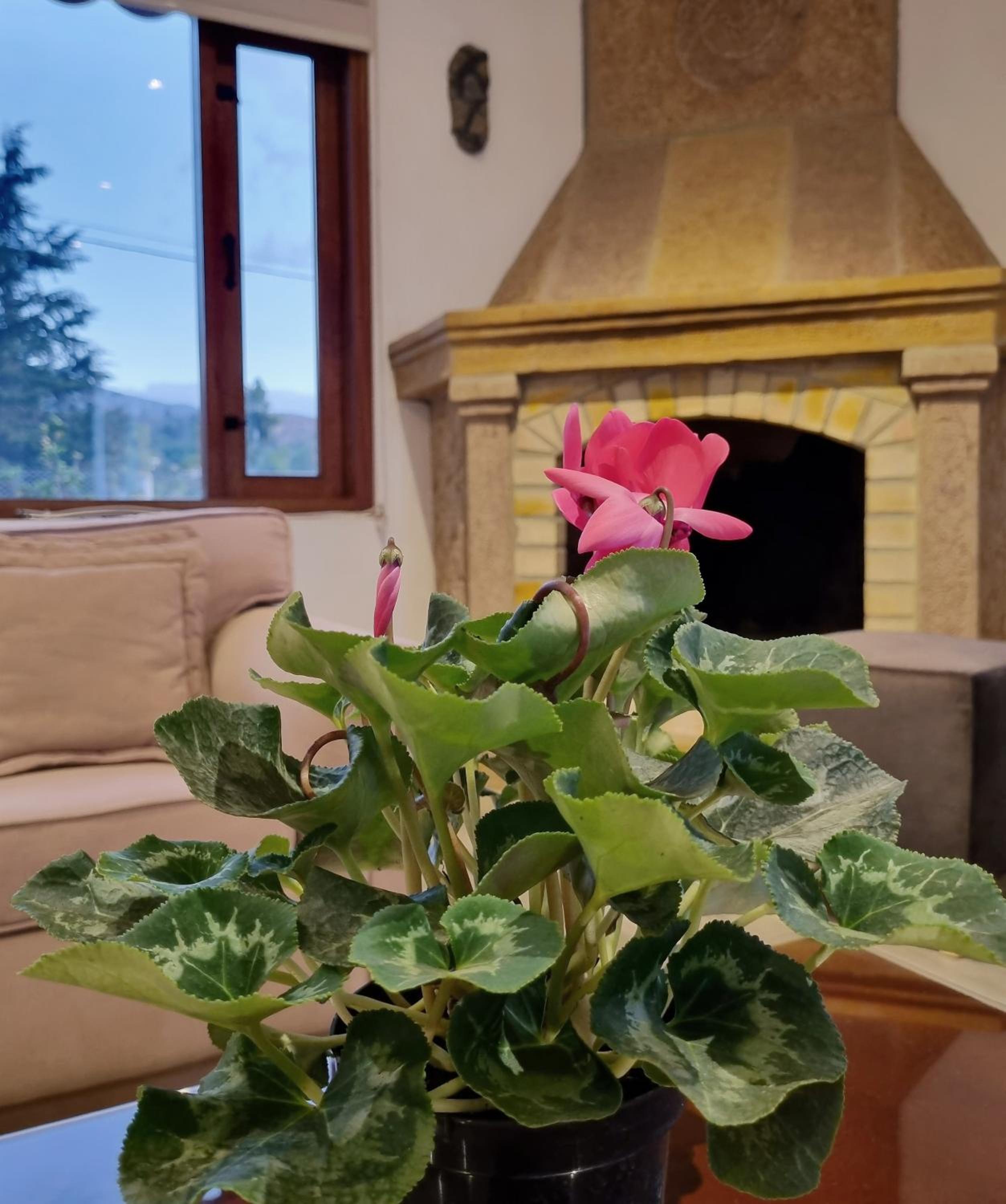 Luxury loft Villa de Leyva