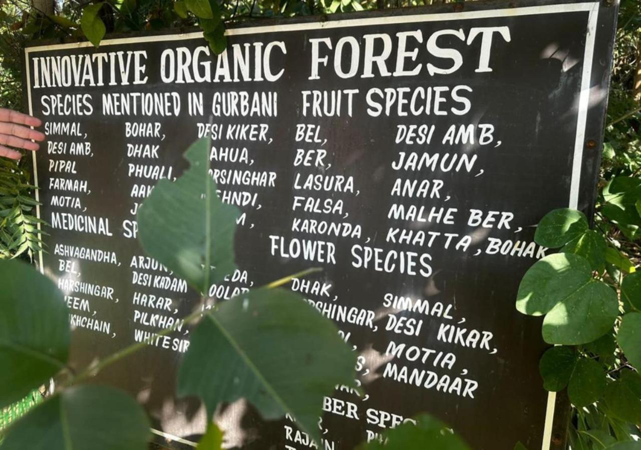 Inno Farms