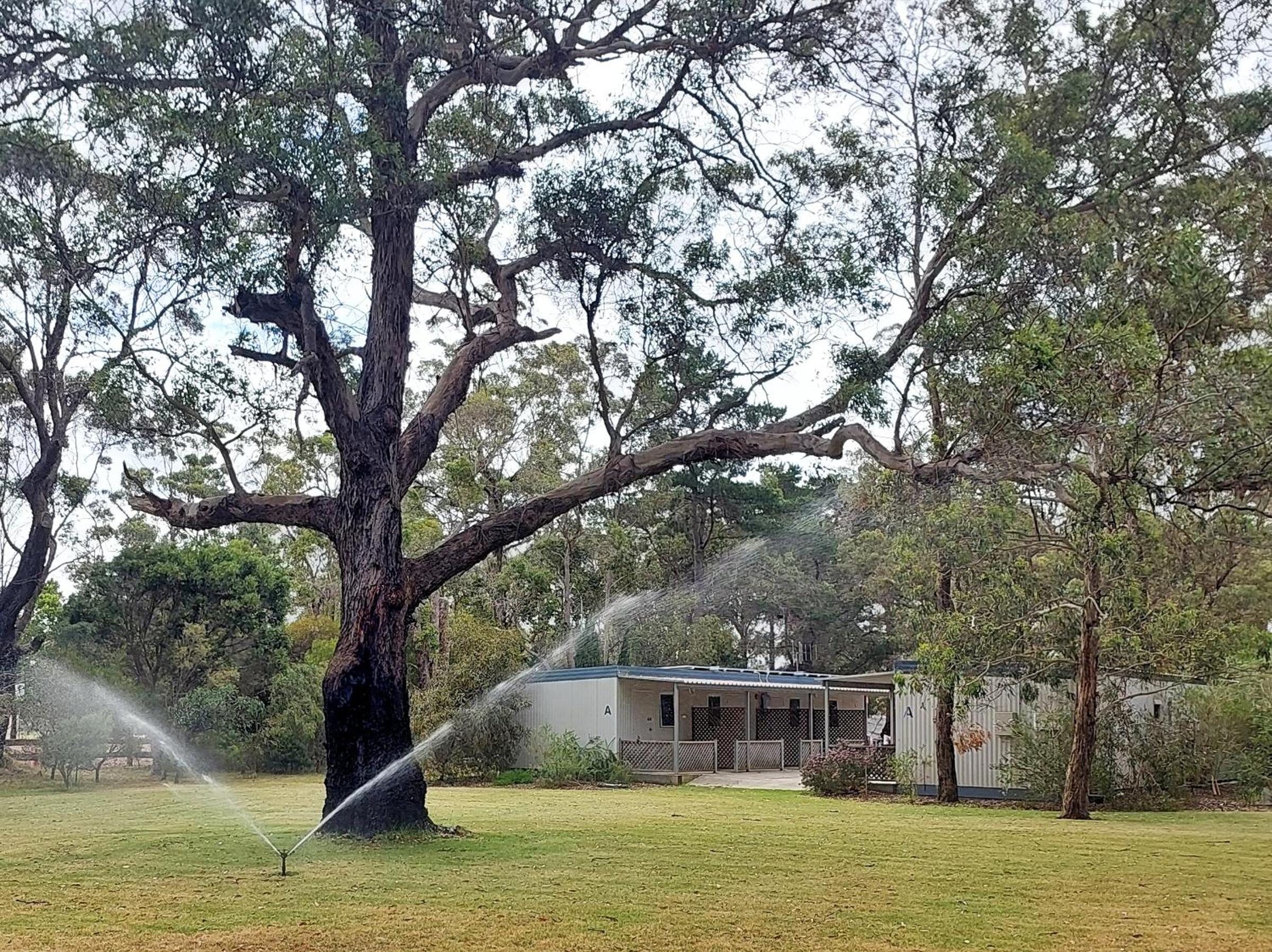 Mt Barker Holiday Park - Western Australia