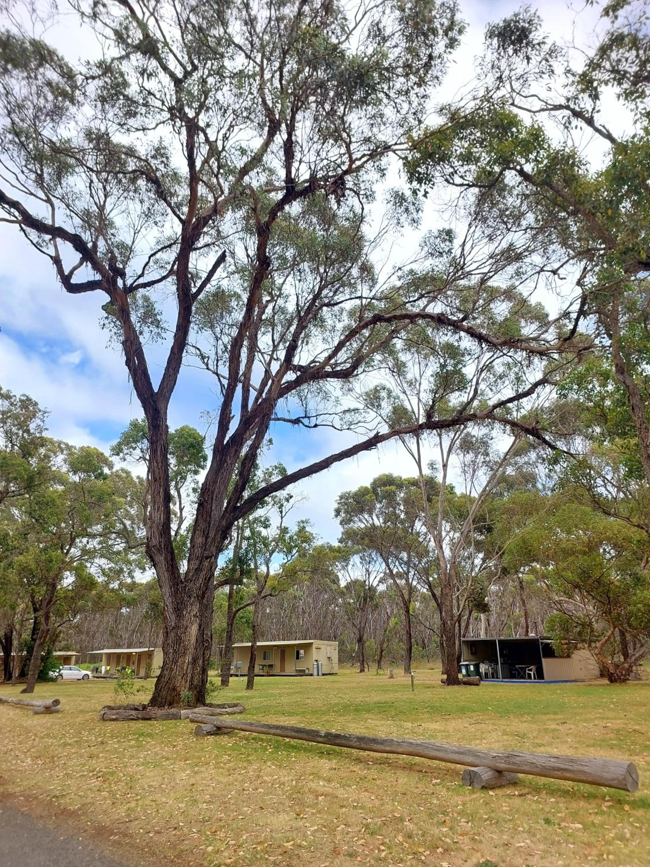 Mt Barker Holiday Park - Western Australia