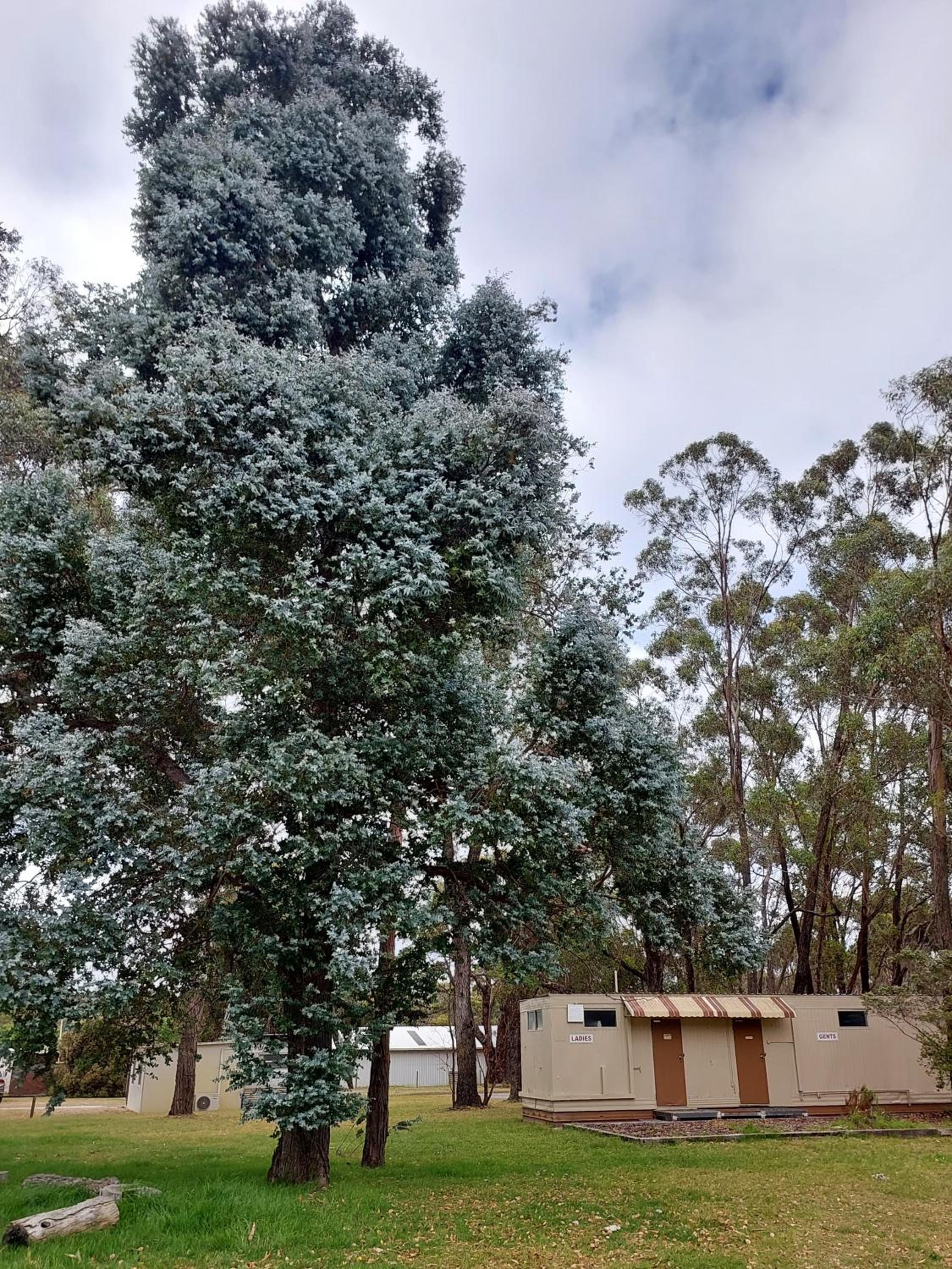 Mt Barker Holiday Park - Western Australia