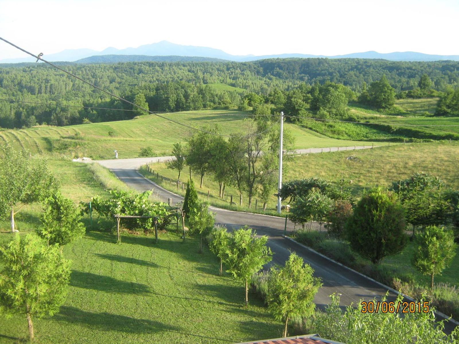 Photo 41
