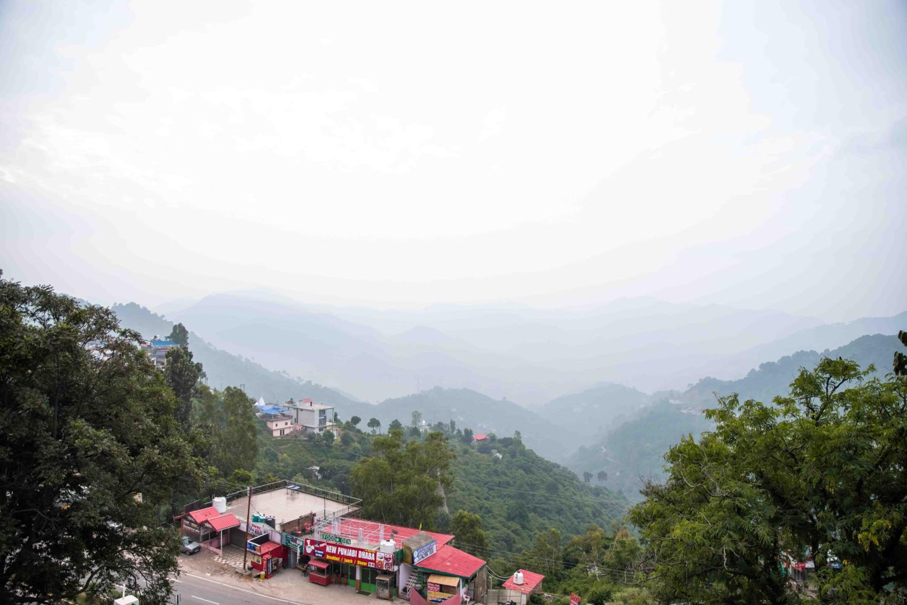 The Fern Surya Resort Kasauli Hills, Dharampur, Series by Marriott