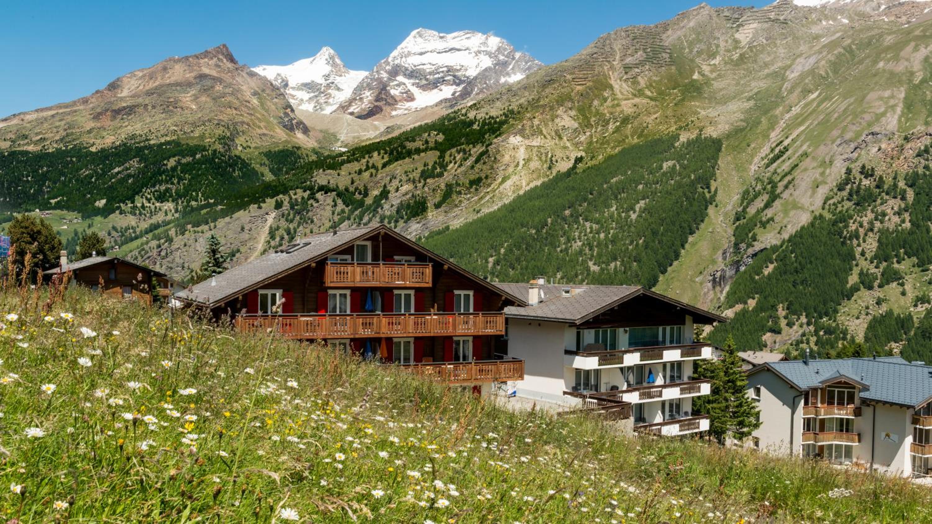Haus Belle-Vue