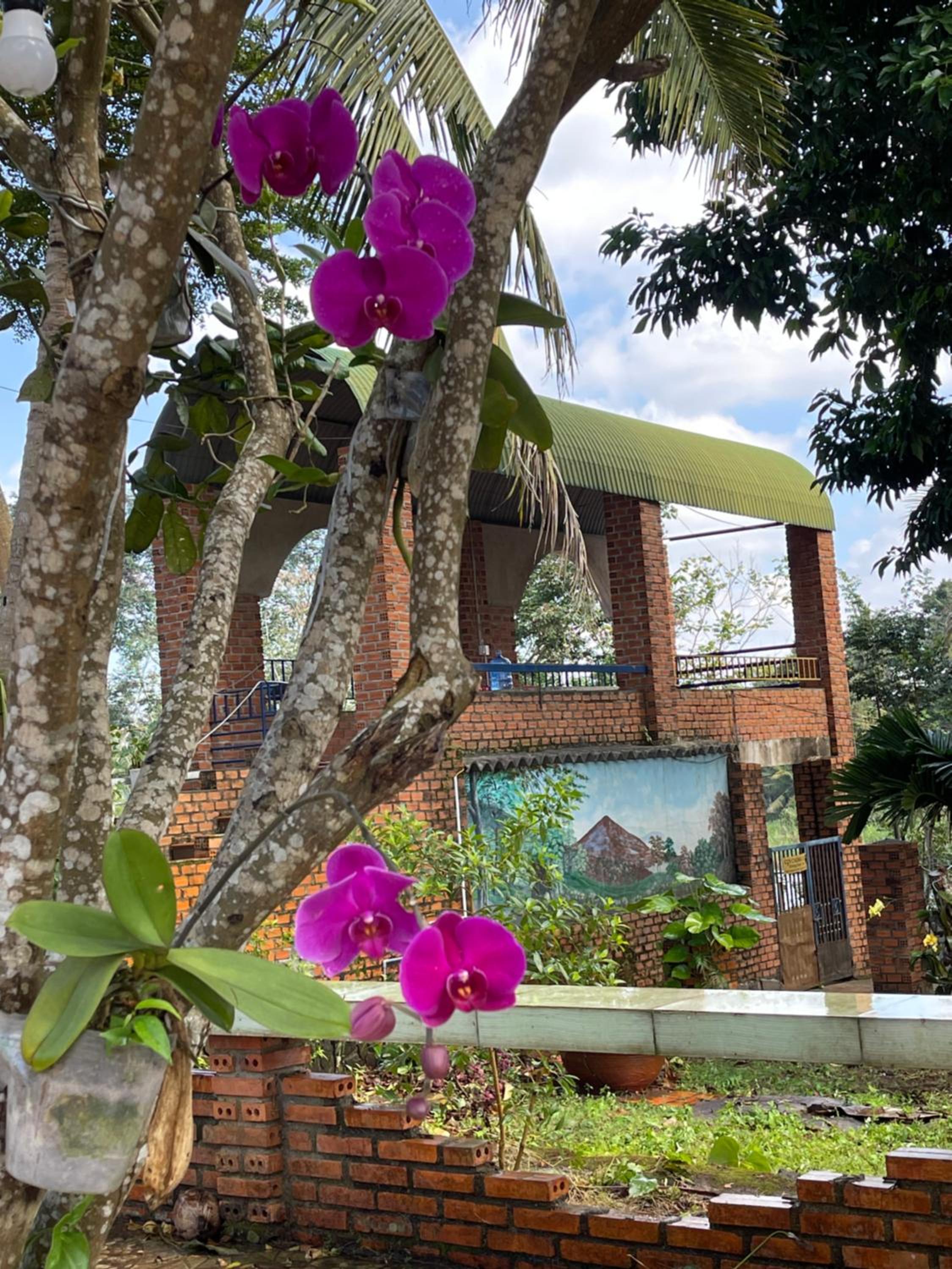 homestay Village garden view 3