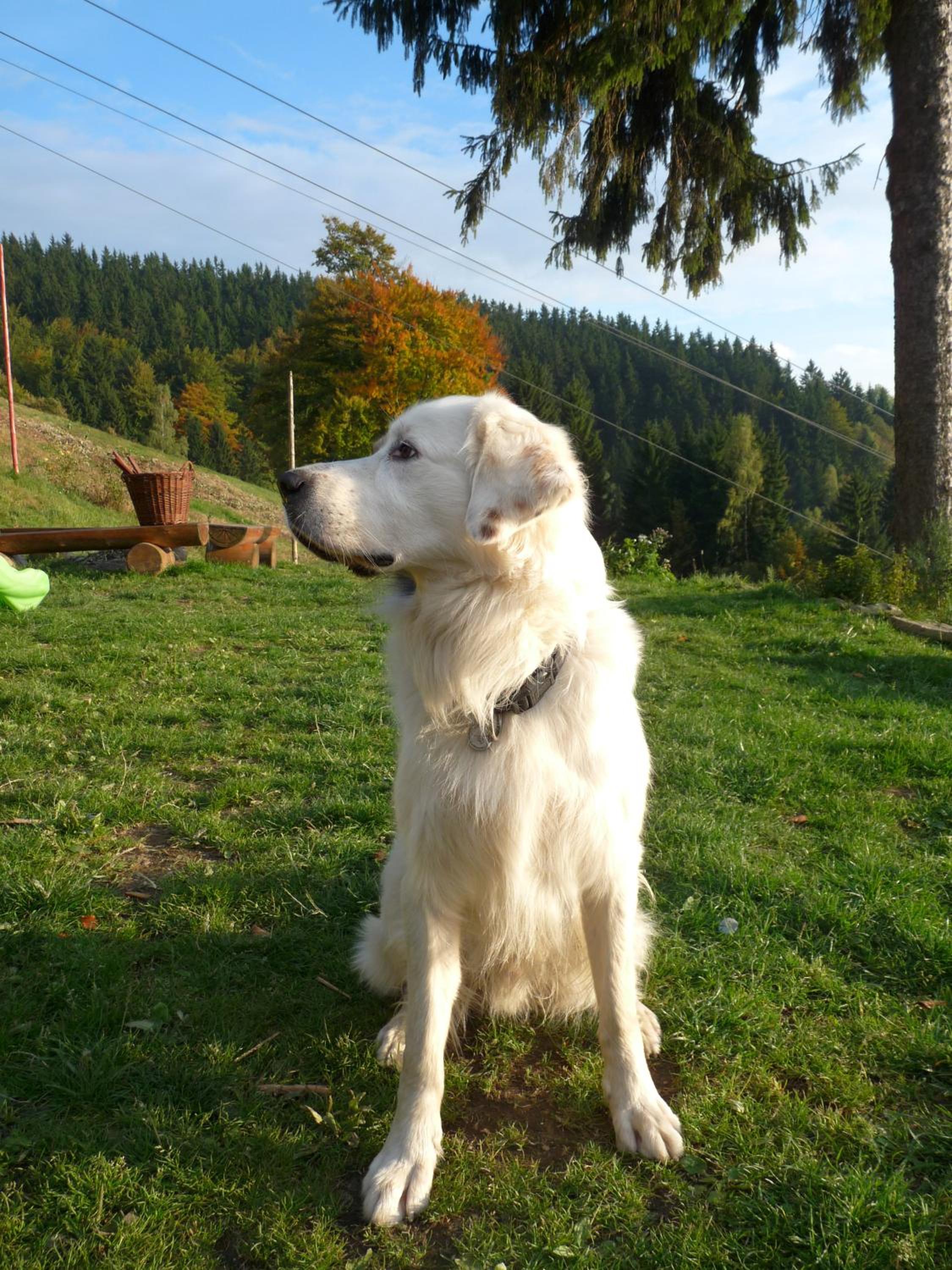 Horská chata Skácelka
