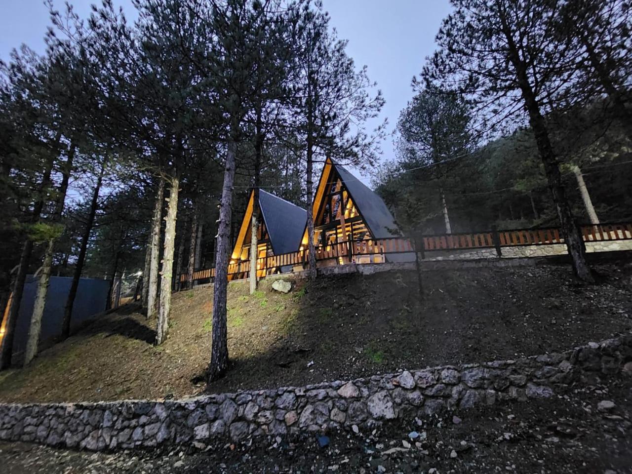 Vilat Alpine Golden Gjinar