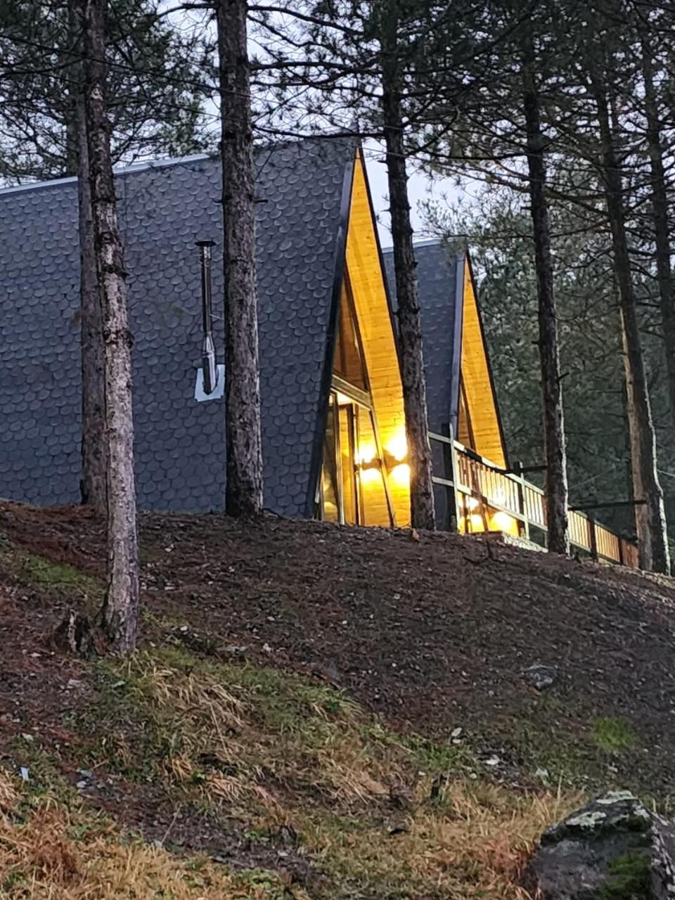 Vilat Alpine Golden Gjinar