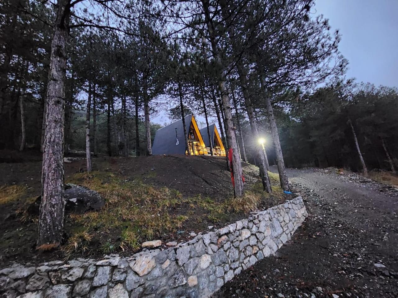 Vilat Alpine Golden Gjinar photo 3