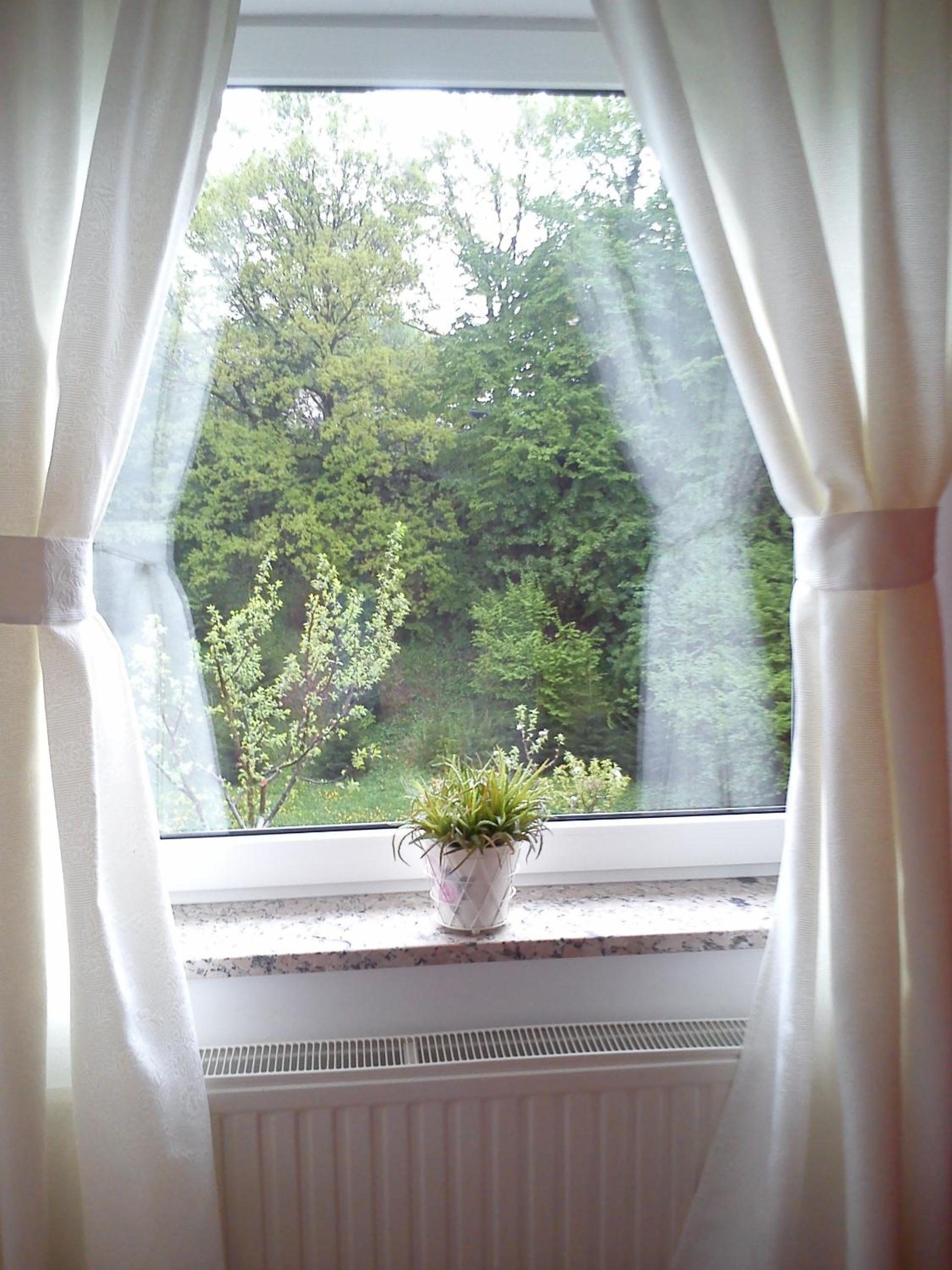 Photo 39