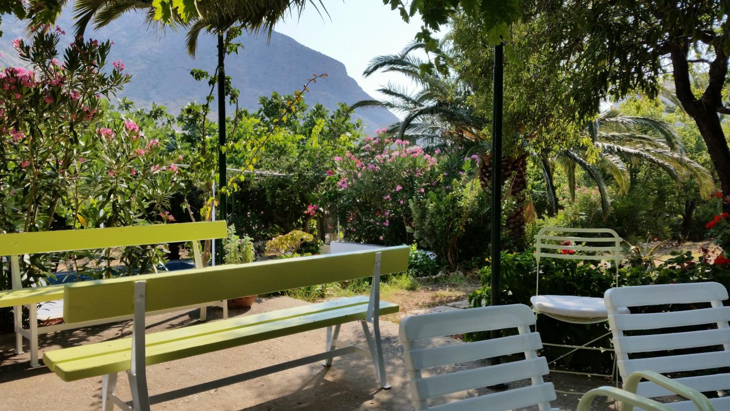 Oasis