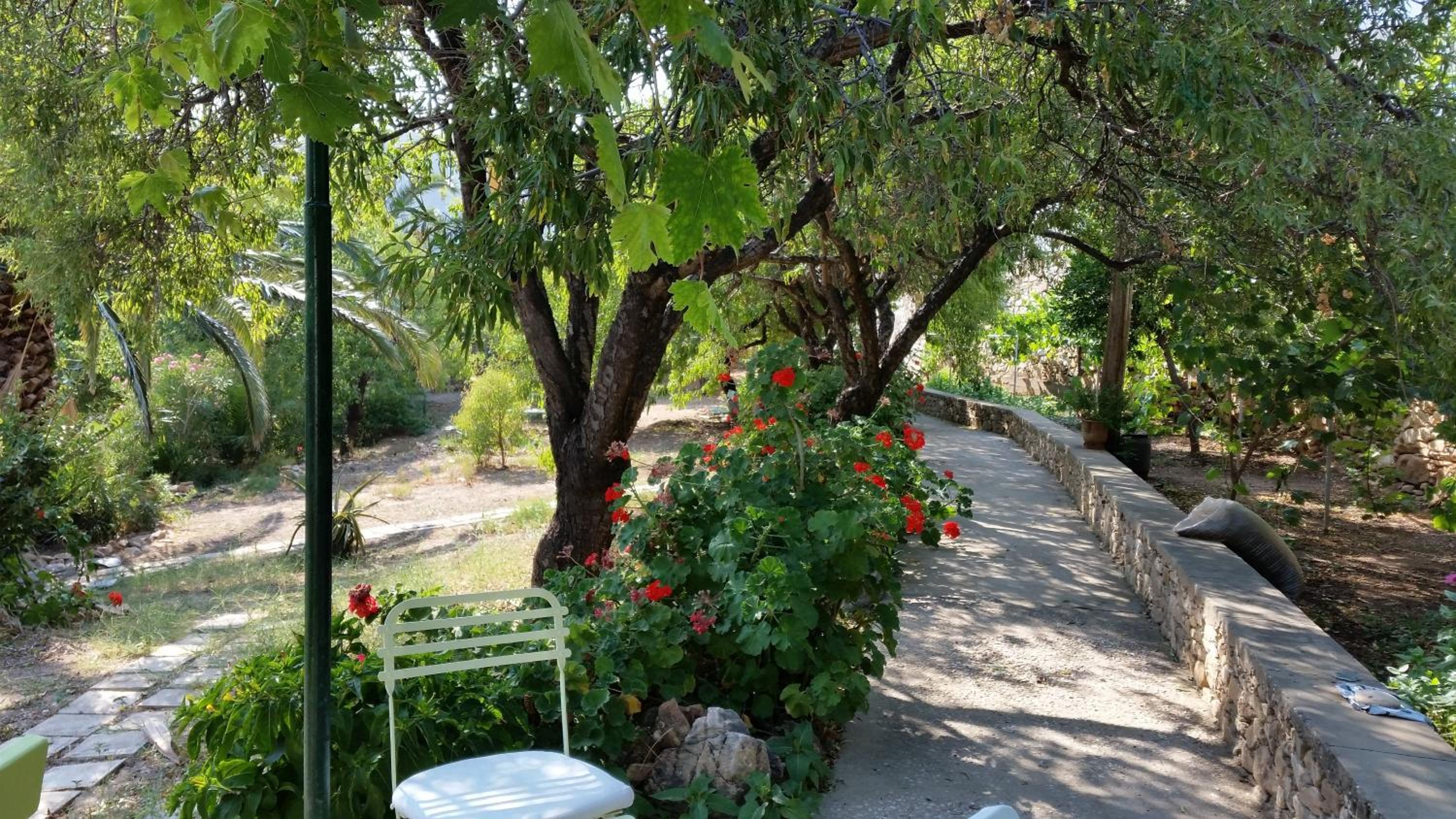 Oasis