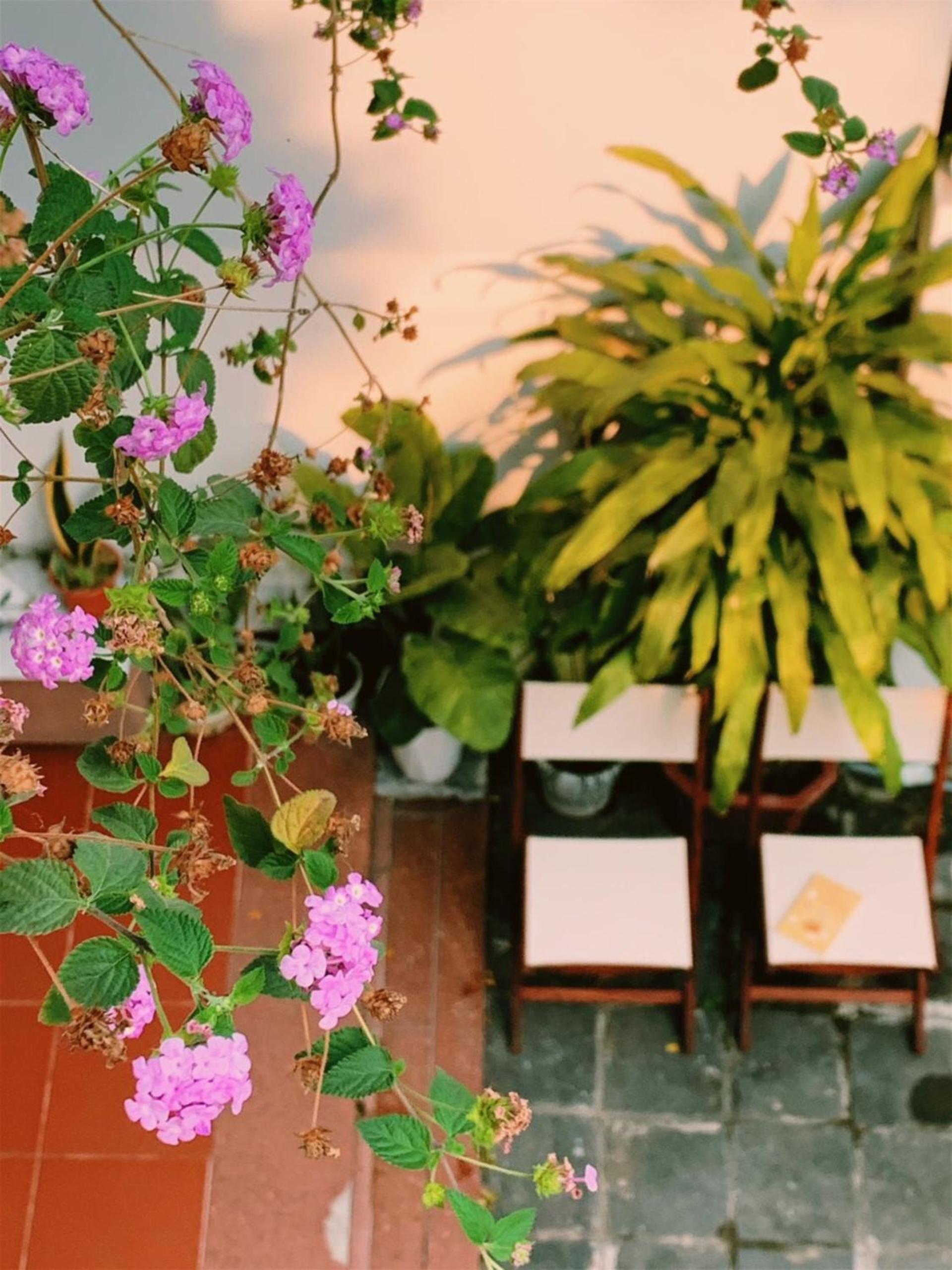 An Hiên Homestay Hội An