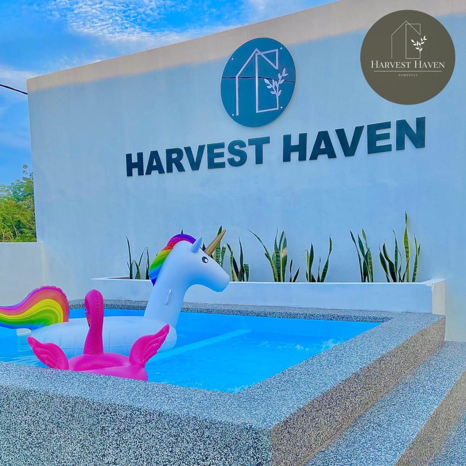 Harvest Haven Homestay photo 2