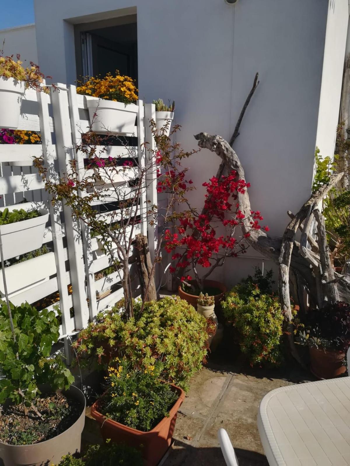 Photo 109