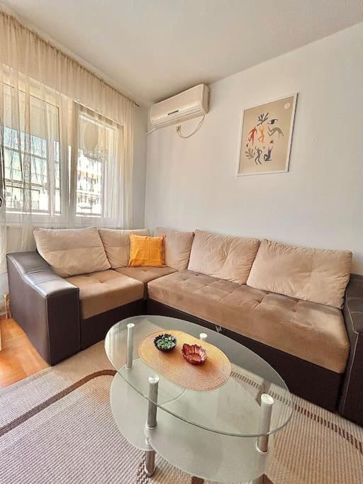Cozy, charming one bedroom apt view 3