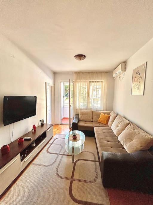 Cozy, charming one bedroom apt view 4