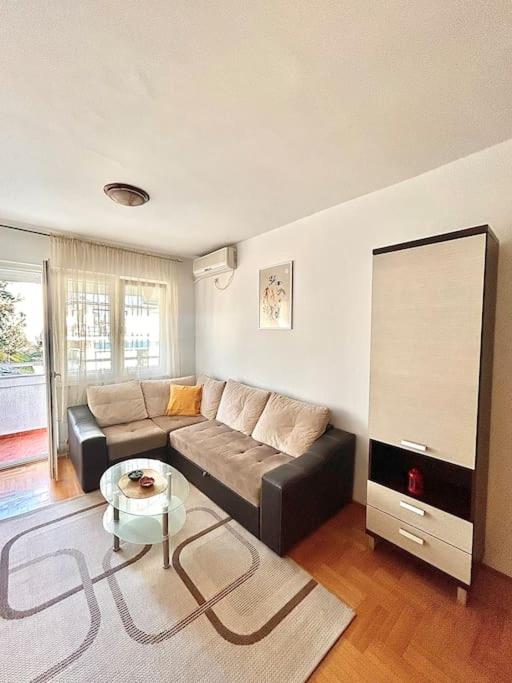 Cozy, charming one bedroom apt view 5