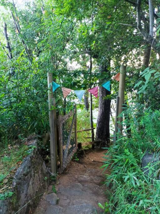 Gran casa a orillas del lago
