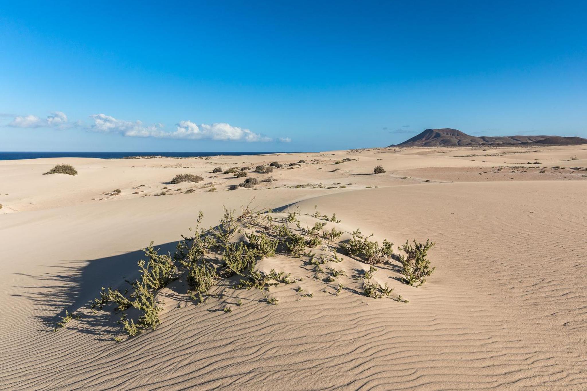 Casa Prima by Sea You There Fuerteventura