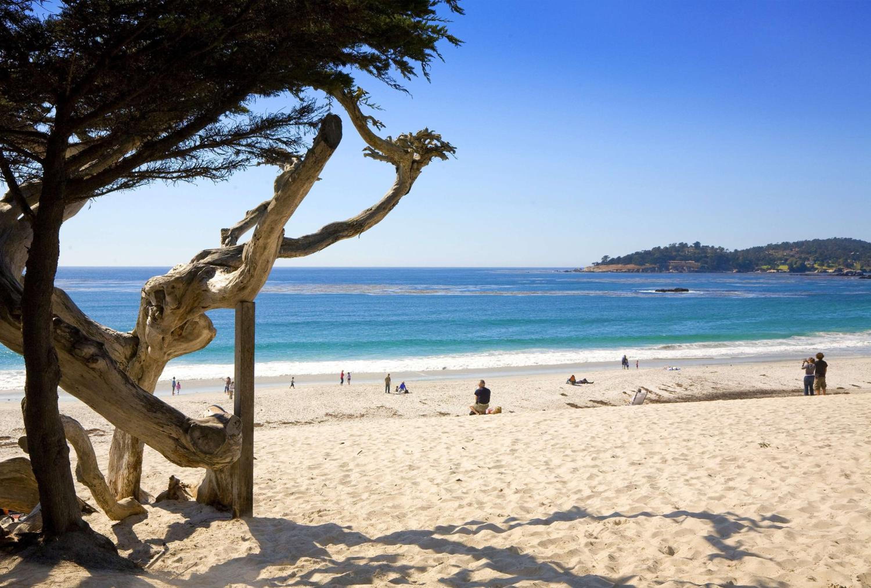 Hyatt Carmel Highlands 33