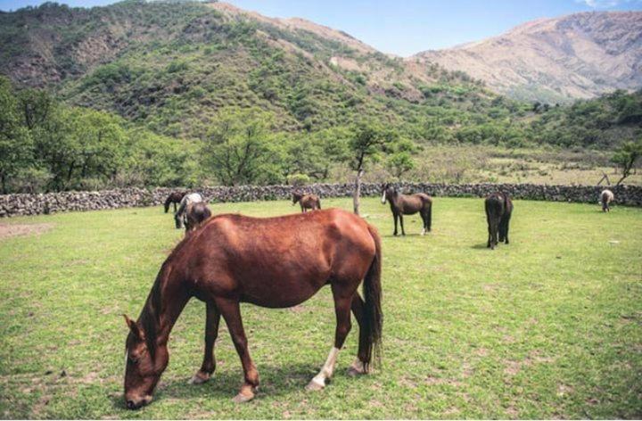 Cabañas Canto a Jujuy- acceso privado al Rio