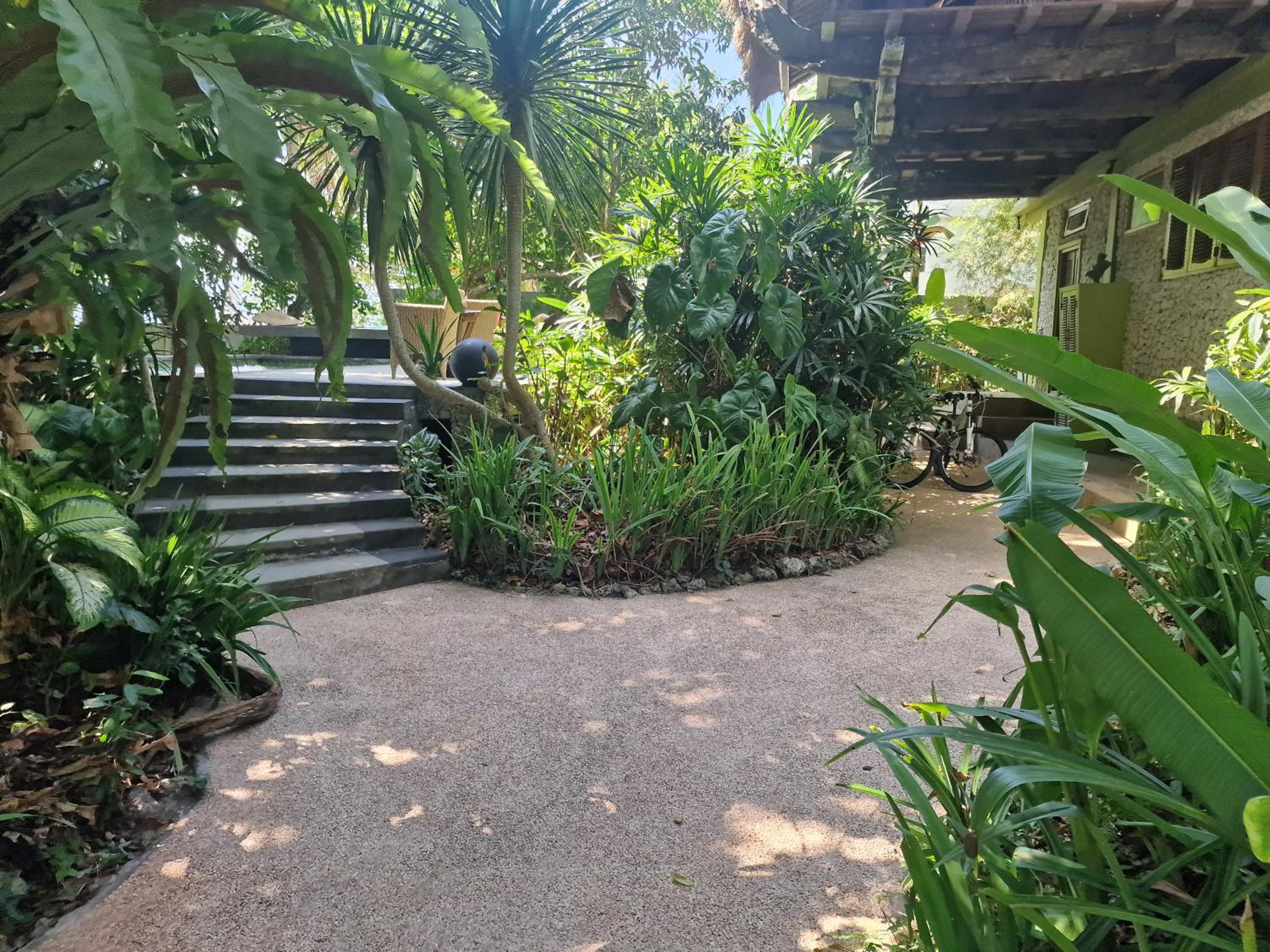 Photo 18