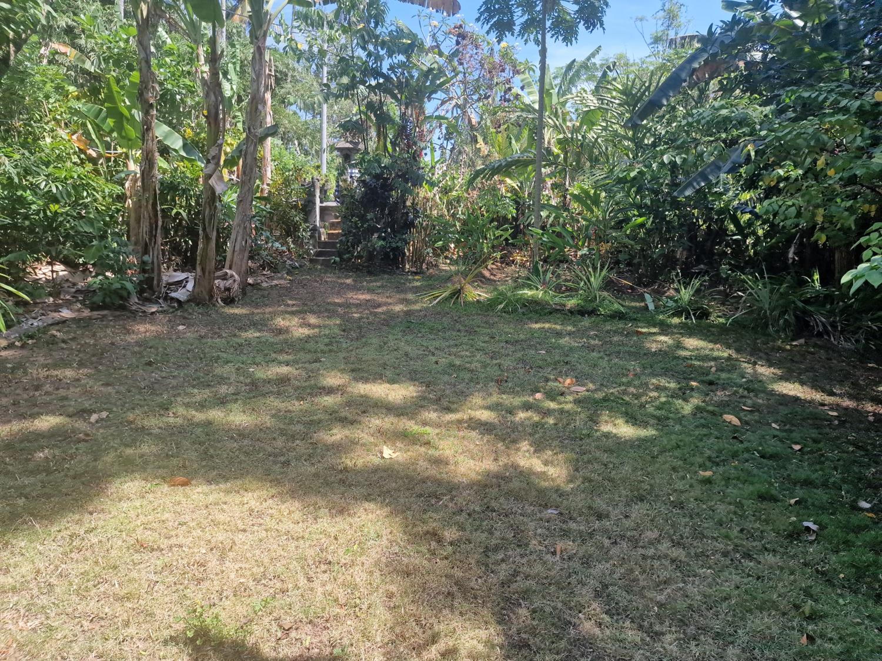 Photo 34