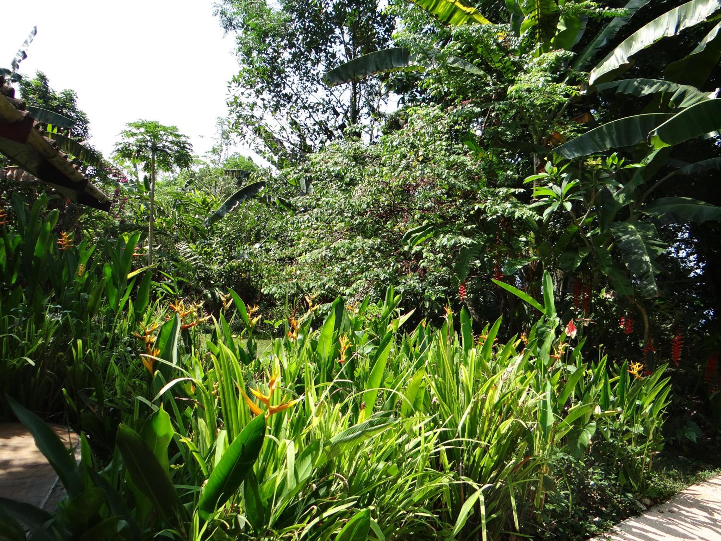 Photo 41