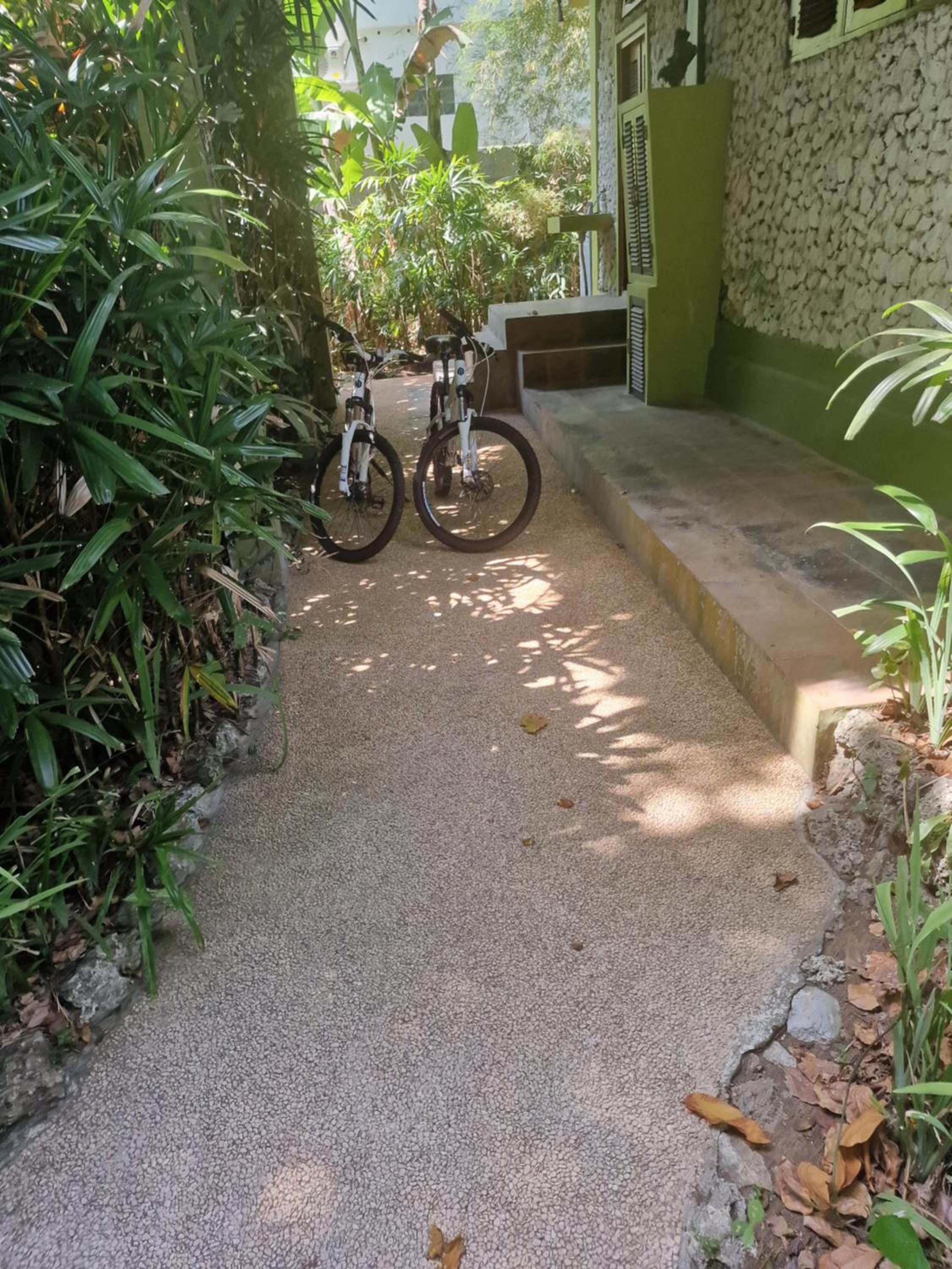 Photo 43
