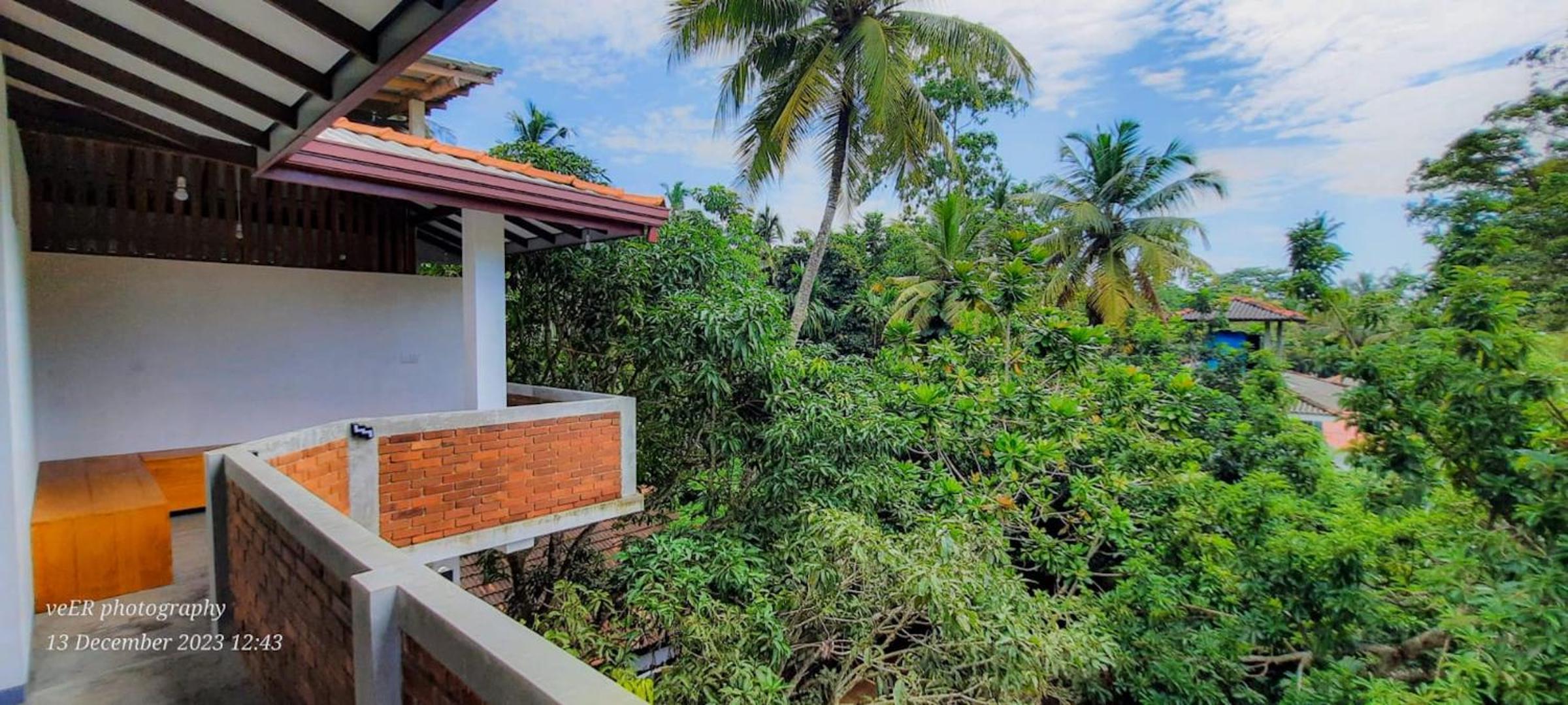 Jungle Escape Hiriketiya view 2
