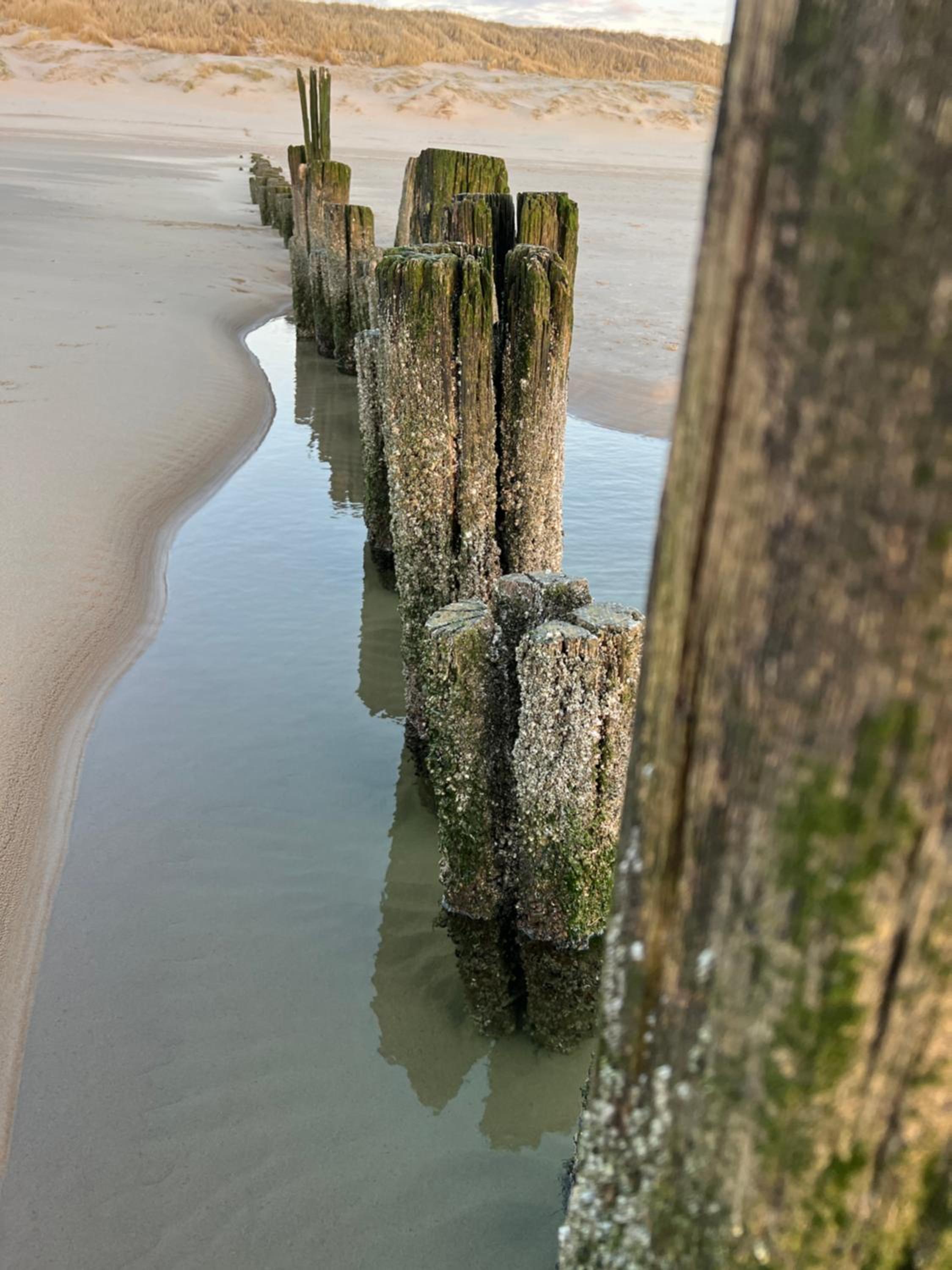 Huis Egmond view 5
