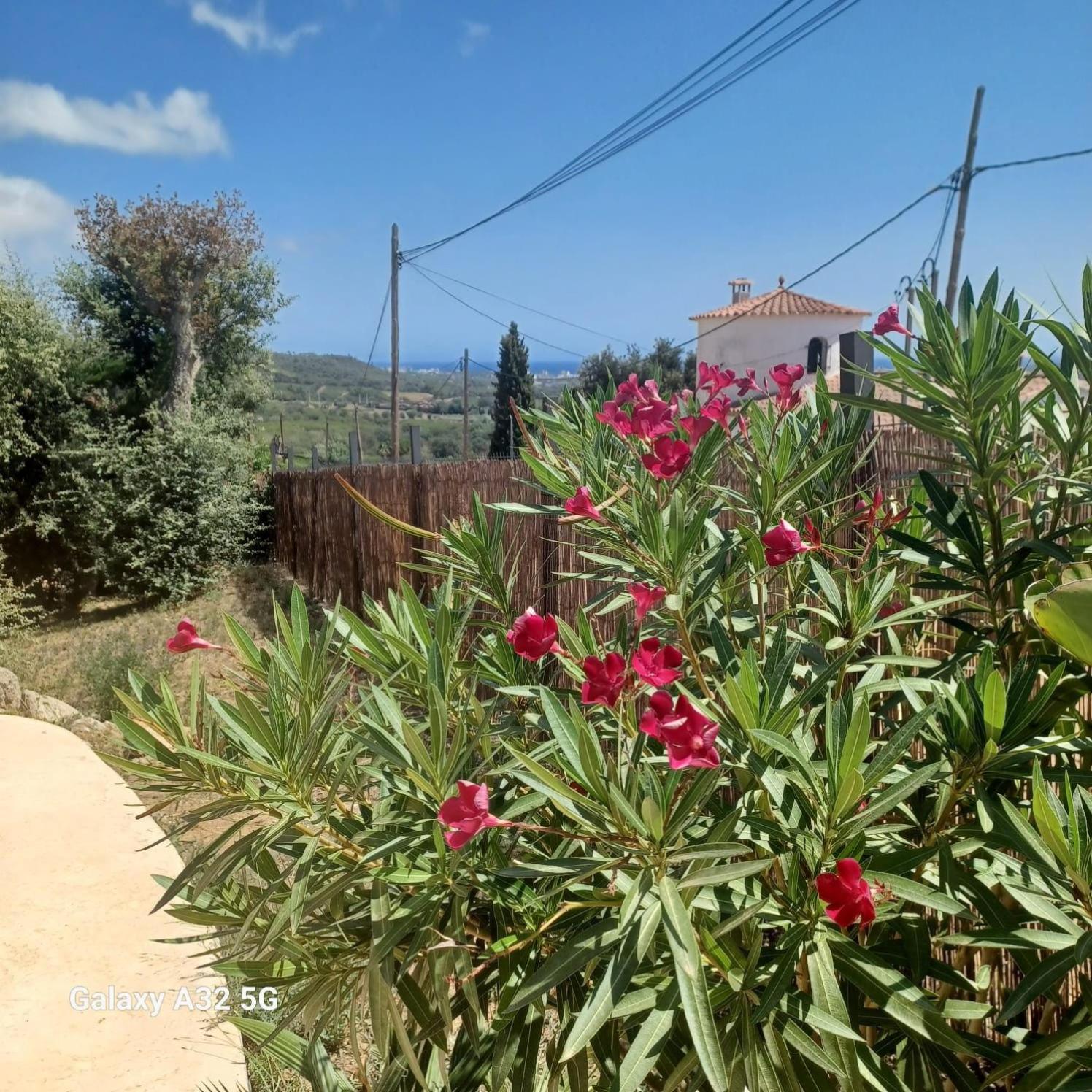 Villa Los Primos