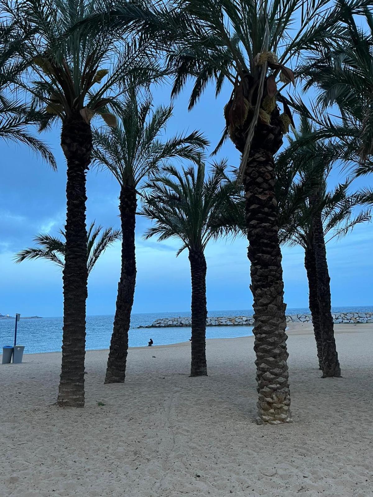 Villa Los Primos